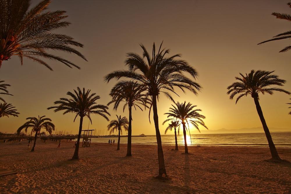 Sahara Nubia Gobi Hotel Ses Cadenes Ngoại thất bức ảnh Palm trees on the beach at sunset